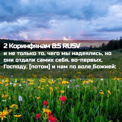 Picture 02 - 2 Коринфянам 8:5 RUSV - и не только то, чего мы - Bible Verse Picture