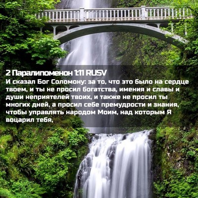 Picture 02 - 2 Паралипоменон 1:11 RUSV - И сказал Бог Соломону: за - Bible Verse Picture