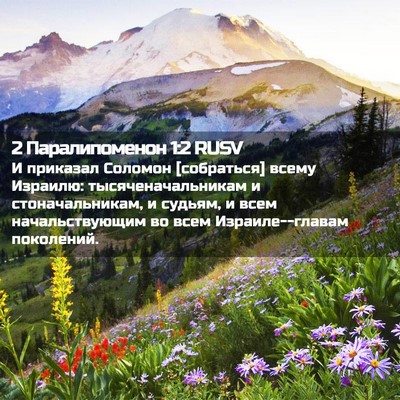 Picture 02 - 2 Паралипоменон 1:2 RUSV - И приказал Соломон - Bible Verse Picture