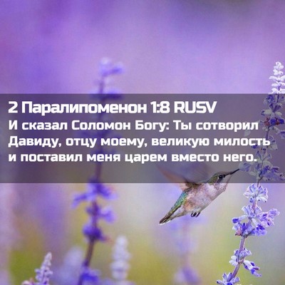 Picture 02 - 2 Паралипоменон 1:8 RUSV - И сказал Соломон Богу: Ты - Bible Verse Picture