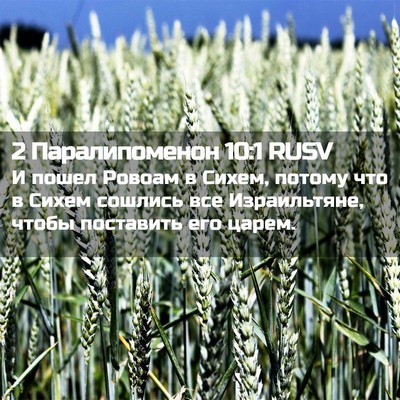 Picture 02 - 2 Паралипоменон 10:1 RUSV - И пошел Ровоам в Сихем, - Bible Verse Picture