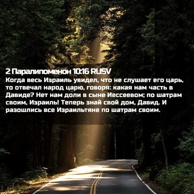 Picture 02 - 2 Паралипоменон 10:16 RUSV - Когда весь Израиль увидел, - Bible Verse Picture