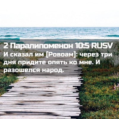 Picture 02 - 2 Паралипоменон 10:5 RUSV - И сказал им [Ровоам]: через - Bible Verse Picture