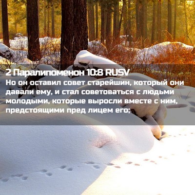 Picture 02 - 2 Паралипоменон 10:8 RUSV - Но он оставил совет - Bible Verse Picture