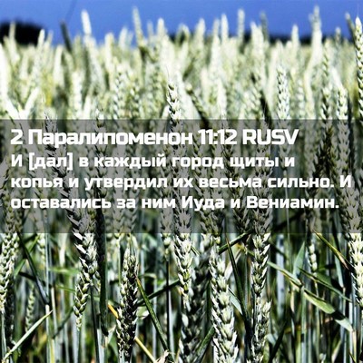 Picture 02 - 2 Паралипоменон 11:12 RUSV - И [дал] в каждый город щиты - Bible Verse Picture