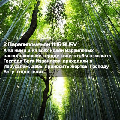 Picture 02 - 2 Паралипоменон 11:16 RUSV - А за ними и из всех колен - Bible Verse Picture