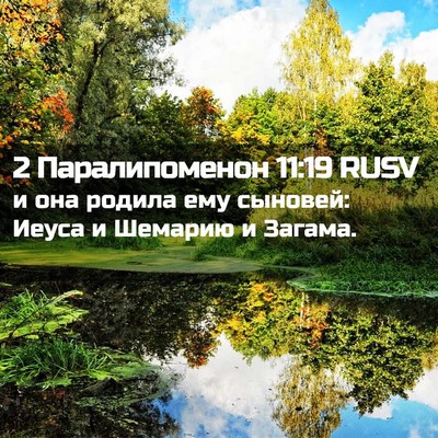Picture 02 - 2 Паралипоменон 11:19 RUSV - и она родила ему сыновей: - Bible Verse Picture