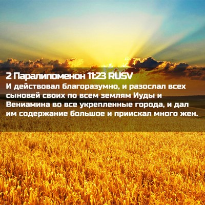 Picture 02 - 2 Паралипоменон 11:23 RUSV - И действовал благоразумно, - Bible Verse Picture