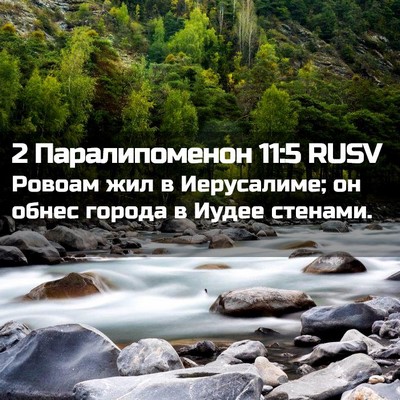 Picture 02 - 2 Паралипоменон 11:5 RUSV - Ровоам жил в Иерусалиме; он - Bible Verse Picture