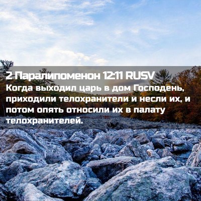 Picture 02 - 2 Паралипоменон 12:11 RUSV - Когда выходил царь в дом - Bible Verse Picture