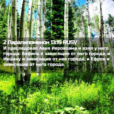 Picture 02 - 2 Паралипоменон 13:19 RUSV - И преследовал Авия - Bible Verse Picture