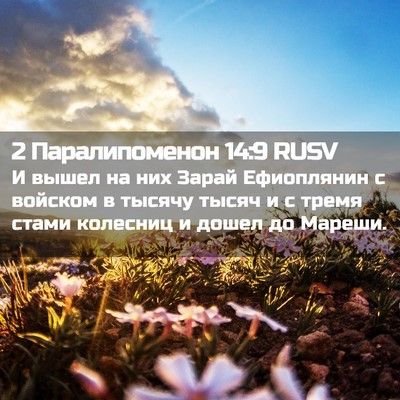 Picture 02 - 2 Паралипоменон 14:9 RUSV - И вышел на них Зарай - Bible Verse Picture