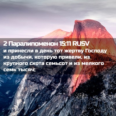 Picture 02 - 2 Паралипоменон 15:11 RUSV - и принесли в день тот - Bible Verse Picture