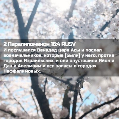 Picture 02 - 2 Паралипоменон 16:4 RUSV - И послушался Венадад царя - Bible Verse Picture