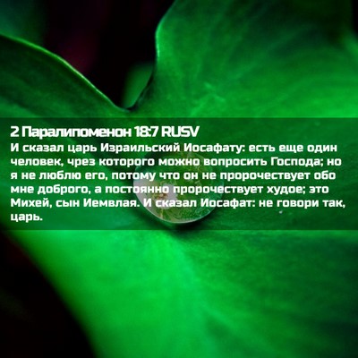 Picture 02 - 2 Паралипоменон 18:7 RUSV - И сказал царь Израильский - Bible Verse Picture