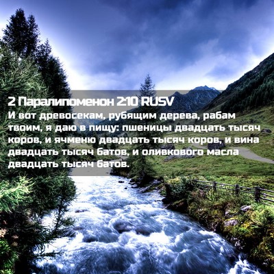 Picture 02 - 2 Паралипоменон 2:10 RUSV - И вот древосекам, рубящим - Bible Verse Picture