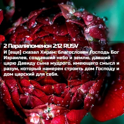 Picture 02 - 2 Паралипоменон 2:12 RUSV - И [еще] сказал Хирам: - Bible Verse Picture