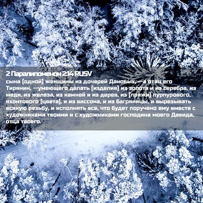 Picture 02 - 2 Паралипоменон 2:14 RUSV - сына [одной] женщины из - Bible Verse Picture