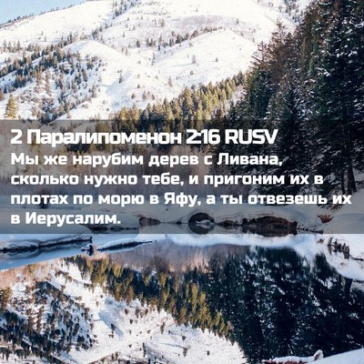 Picture 02 - 2 Паралипоменон 2:16 RUSV - Мы же нарубим дерев с - Bible Verse Picture