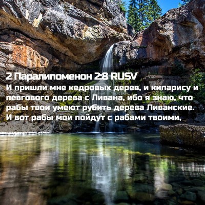 Picture 02 - 2 Паралипоменон 2:8 RUSV - И пришли мне кедровых - Bible Verse Picture