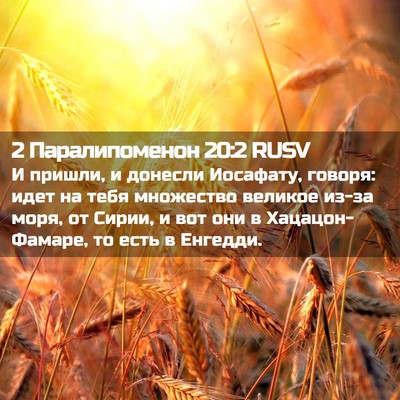 Picture 02 - 2 Паралипоменон 20:2 RUSV - И пришли, и донесли - Bible Verse Picture