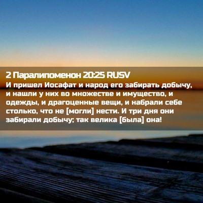 Picture 02 - 2 Паралипоменон 20:25 RUSV - И пришел Иосафат и народ - Bible Verse Picture