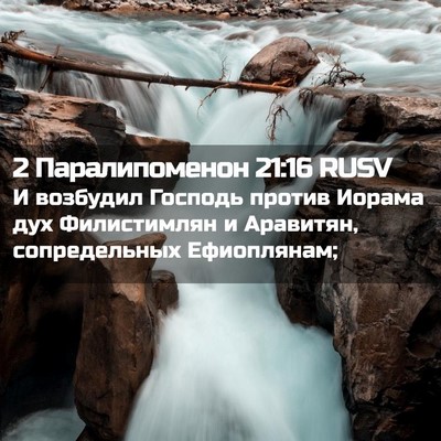Picture 02 - 2 Паралипоменон 21:16 RUSV - И возбудил Господь против - Bible Verse Picture