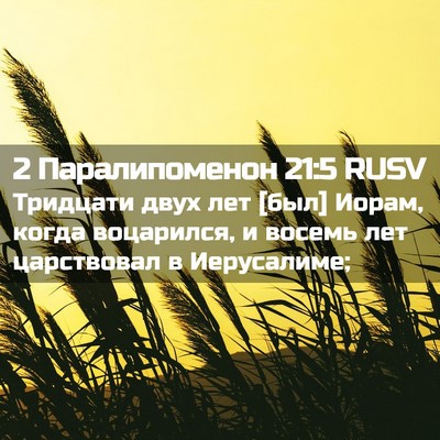 Picture 02 - 2 Паралипоменон 21:5 RUSV - Тридцати двух лет [был] - Bible Verse Picture