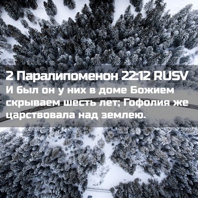 Picture 02 - 2 Паралипоменон 22:12 RUSV - И был он у них в доме Божием - Bible Verse Picture