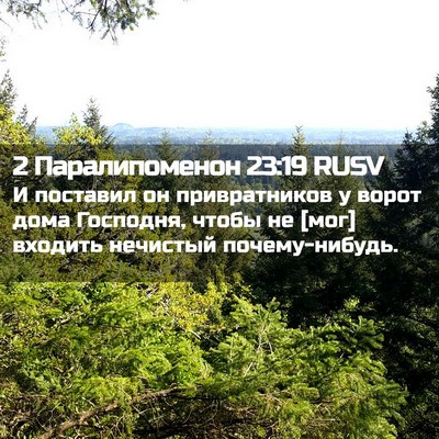 Picture 02 - 2 Паралипоменон 23:19 RUSV - И поставил он привратников - Bible Verse Picture