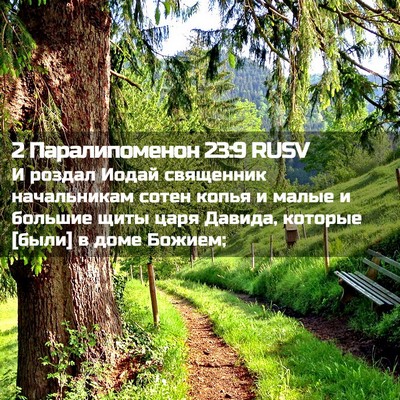 Picture 02 - 2 Паралипоменон 23:9 RUSV - И роздал Иодай священник - Bible Verse Picture