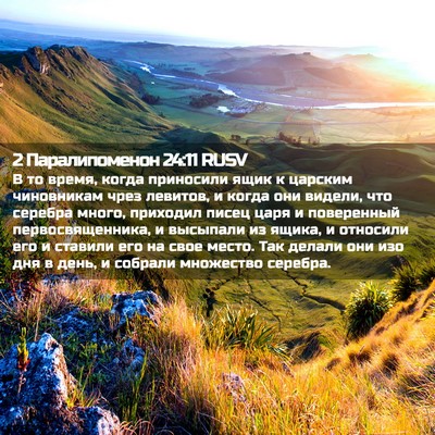 Picture 02 - 2 Паралипоменон 24:11 RUSV - В то время, когда приносили - Bible Verse Picture