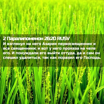 Picture 02 - 2 Паралипоменон 26:20 RUSV - И взглянул на него Азария - Bible Verse Picture