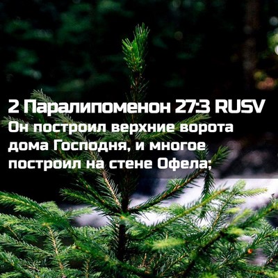 Picture 02 - 2 Паралипоменон 27:3 RUSV - Он построил верхние ворота - Bible Verse Picture