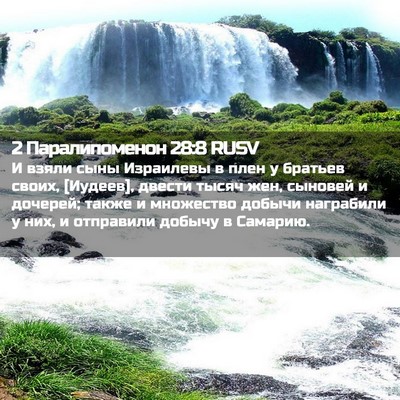 Picture 02 - 2 Паралипоменон 28:8 RUSV - И взяли сыны Израилевы в - Bible Verse Picture