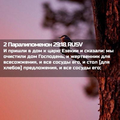 Picture 02 - 2 Паралипоменон 29:18 RUSV - И пришли в дом к царю - Bible Verse Picture