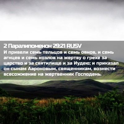 Picture 02 - 2 Паралипоменон 29:21 RUSV - И привели семь тельцов и - Bible Verse Picture