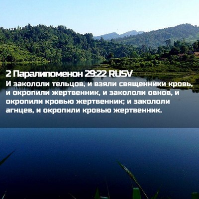 Picture 02 - 2 Паралипоменон 29:22 RUSV - И закололи тельцов, и взяли - Bible Verse Picture