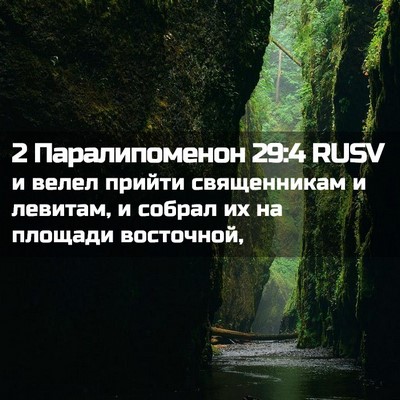 Picture 02 - 2 Паралипоменон 29:4 RUSV - и велел прийти священникам - Bible Verse Picture