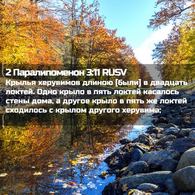 Picture 02 - 2 Паралипоменон 3:11 RUSV - Крылья херувимов длиною - Bible Verse Picture