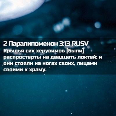 Picture 02 - 2 Паралипоменон 3:13 RUSV - Крылья сих херувимов [были] - Bible Verse Picture