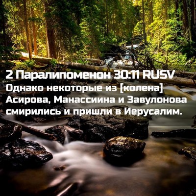 Picture 02 - 2 Паралипоменон 30:11 RUSV - Однако некоторые из - Bible Verse Picture