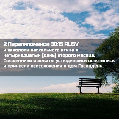 Picture 02 - 2 Паралипоменон 30:15 RUSV - и закололи пасхального - Bible Verse Picture