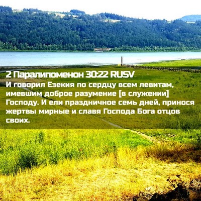 Picture 02 - 2 Паралипоменон 30:22 RUSV - И говорил Езекия по сердцу - Bible Verse Picture