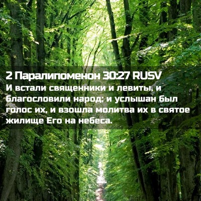 Picture 02 - 2 Паралипоменон 30:27 RUSV - И встали священники и - Bible Verse Picture