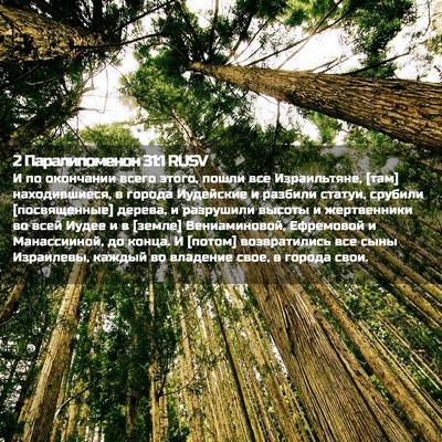 Picture 02 - 2 Паралипоменон 31:1 RUSV - И по окончании всего этого, - Bible Verse Picture