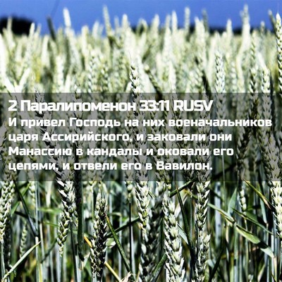 Picture 02 - 2 Паралипоменон 33:11 RUSV - И привел Господь на них - Bible Verse Picture