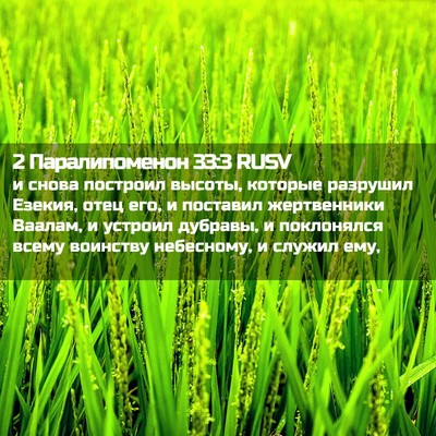 Picture 02 - 2 Паралипоменон 33:3 RUSV - и снова построил высоты, - Bible Verse Picture