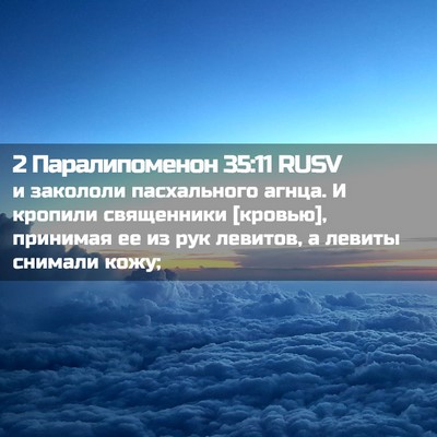 Picture 02 - 2 Паралипоменон 35:11 RUSV - и закололи пасхального - Bible Verse Picture