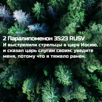 Picture 02 - 2 Паралипоменон 35:23 RUSV - И выстрелили стрельцы в - Bible Verse Picture
